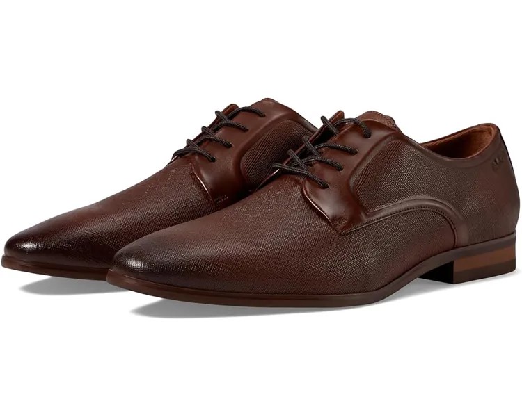 Оксфорды ALDO Brendan, цвет Cognac