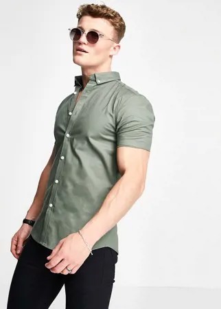 Оксфордская рубашка цвета хаки облегающего кроя с короткими рукавами New Look-Зеленый цвет