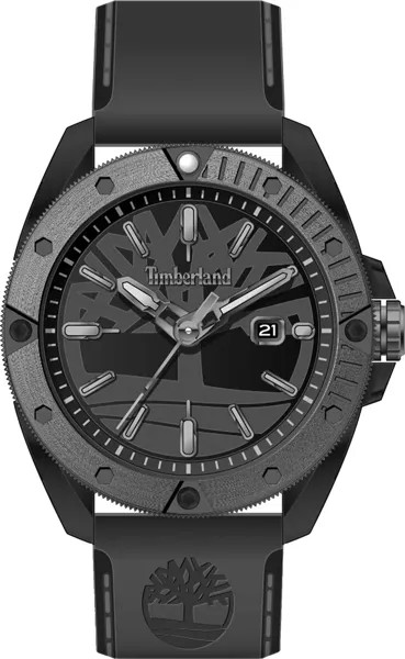 Наручные часы мужские Timberland TDWGN2102904