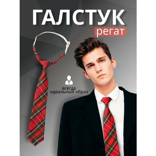 Галстук Bertoldi, синий, красный