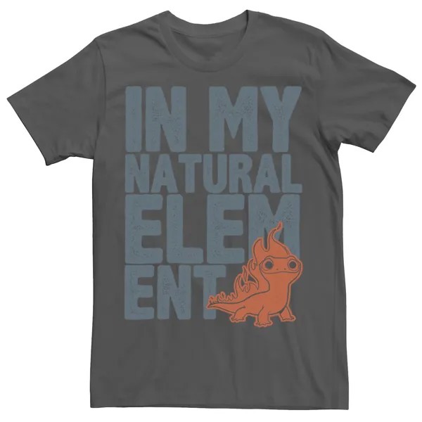 Мужская футболка Frozen 2 Salamander Natural Element с текстом Stack Disney