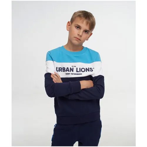 Свитшот для мальчиков «Urban Lions», р-р 158-164 см, Темно-синий-Голубой