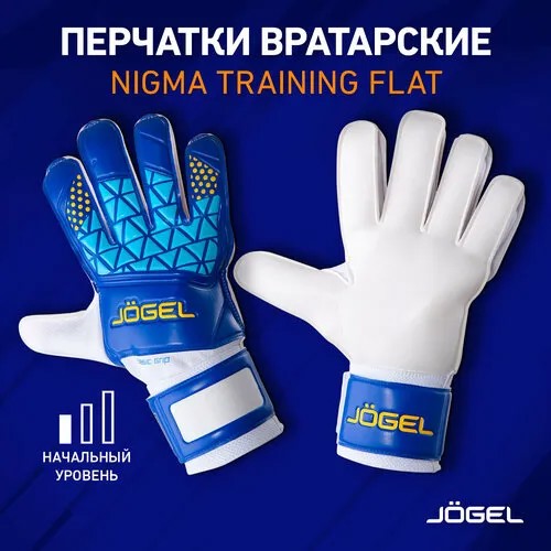 Вратарские перчатки Jogel Nigma Training Flat, белый, синий