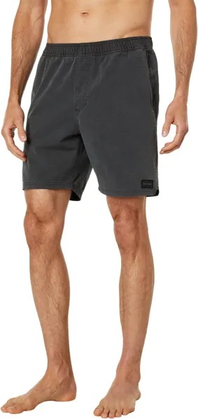 Шорты Rip Curl Everyday 18