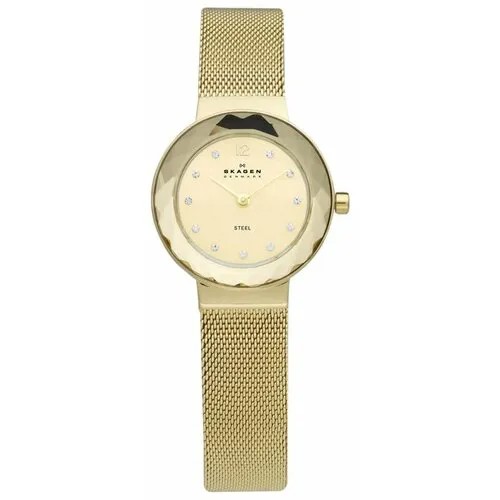 Наручные часы Skagen 456SGSG