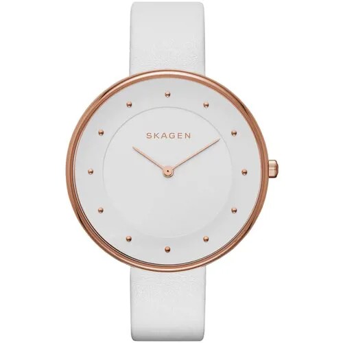 Наручные часы SKAGEN SKW2291