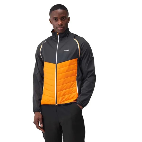 Спортивная куртка Regatta Steren Hybrid softshell, оранжевый