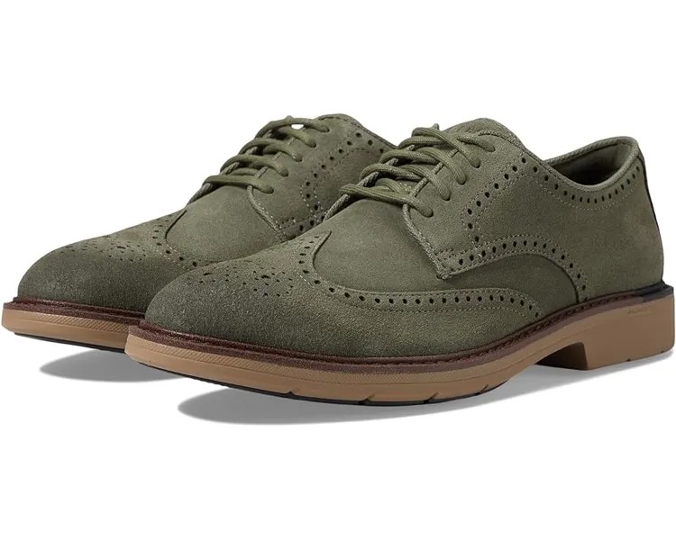 Оксфорды Cole Haan Go-To Wing, цвет Tea Leaf Suede/Madeira/Irish Coffee
