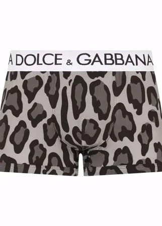 Dolce & Gabbana трусы-брифы с леопардовым принтом