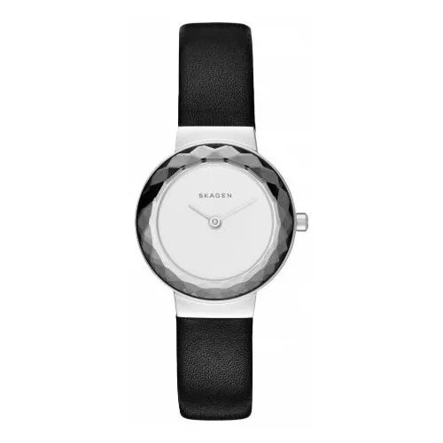 Наручные часы Skagen SKW2428