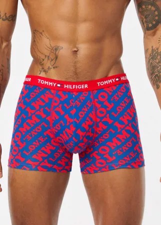Голубые хлопковые боксеры-брифы с принтом Tommy Hilfiger-Синий