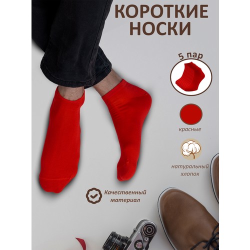Носки Годовой запас носков, комплект, 5 пар, размер 29 (43-45), красный