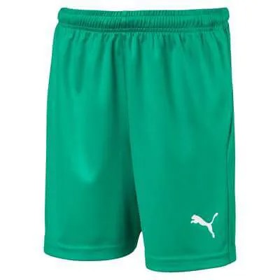 Футбольные шорты Puma Liga Core для мальчиков, зеленые повседневные спортивные штаны для мальчиков 703437-05