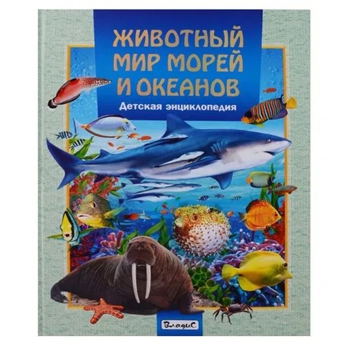 Феданова Ю., Гриценко Е., Скиба Т. 