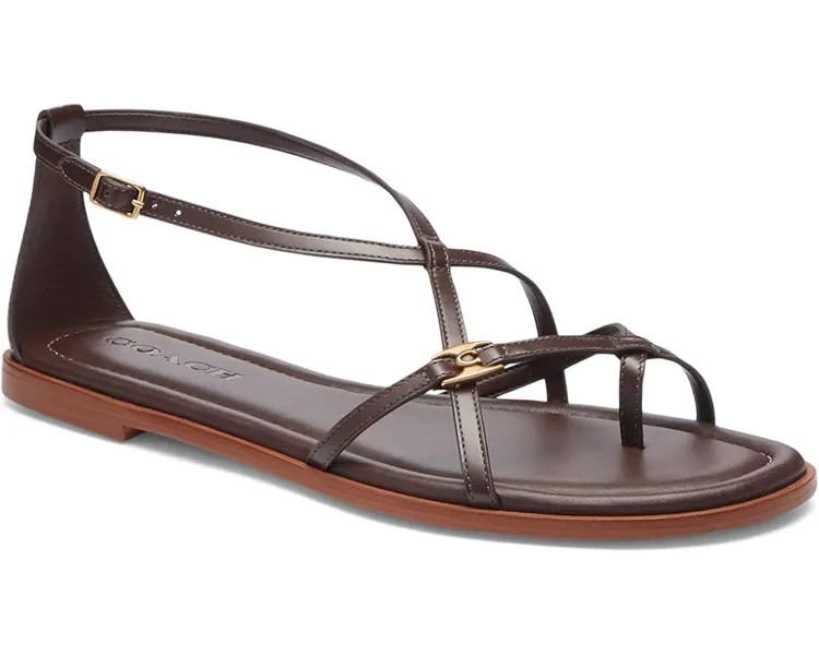 Сандалии COACH Jenni Sandals, цвет Maple