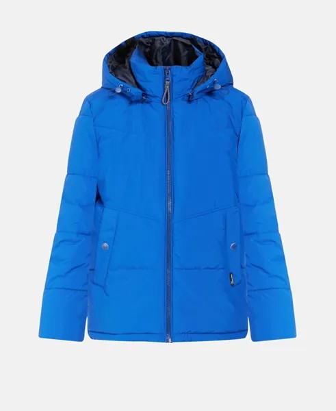 Зимняя куртка Q/S designed by, синий