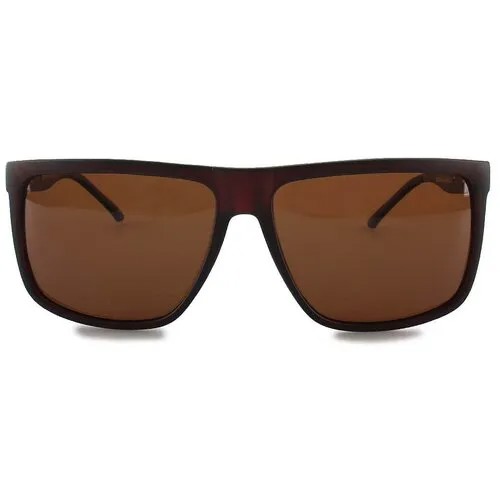 Мужские солнцезащитные очки MATRIX 08259 Brown
