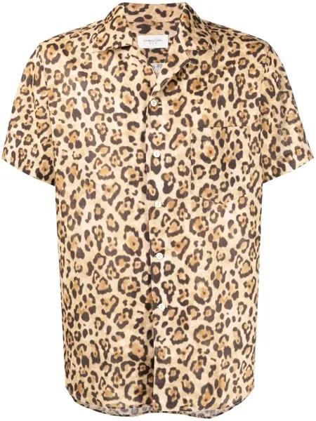 Tintoria Mattei рубашка с леопардовым принтом