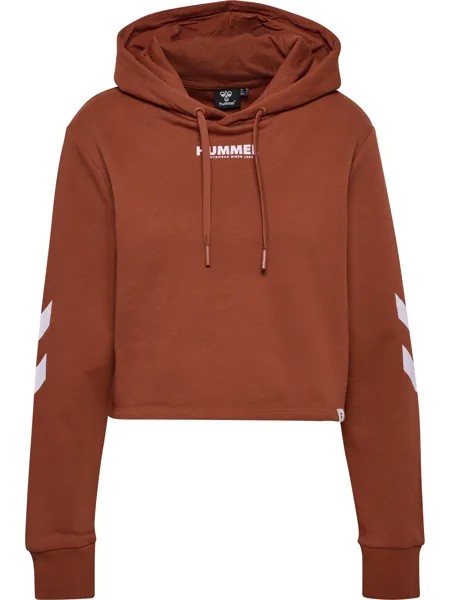 Толстовка Hummel Hoodie Hmllegacy Woman Cropped Hoodie, цвет ARABIAN SPICE