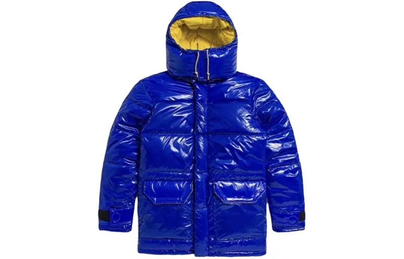 THE NORTH FACE Мужской пуховик, цвет Blue