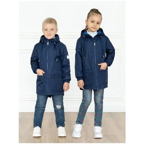 Ветровка Arctic Kids демисезонная, подкладка, карманы, капюшон, размер 116, синий