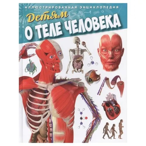 Феданова Ю., Шереминская Л., Скиба Т. 