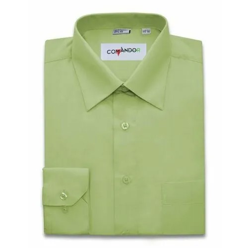 Рубашка Maestro, размер 46RU/S/176-182/39 ворот, зеленый