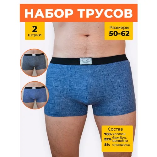 Трусы Lauri Adsen, 2 шт., размер 4XL, голубой, серый