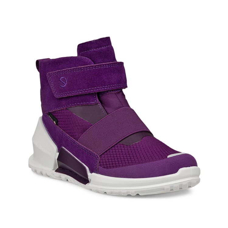 Ботинки BIOM K1