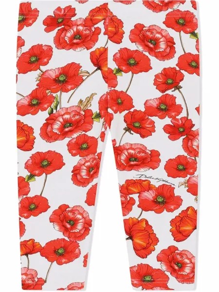 Dolce & Gabbana Kids легинсы с принтом