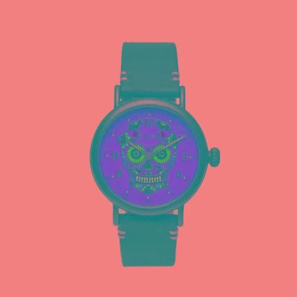 Наручные часы Timex Standard Dia De Los Muertos