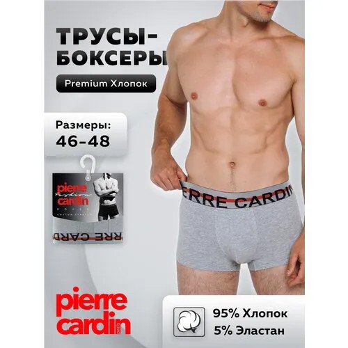 Трусы боксеры Pierre Cardin, средняя посадка, размер 5/L (48-50), серый