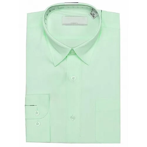 Школьная рубашка Sky Lake, размер 29.116, зеленый