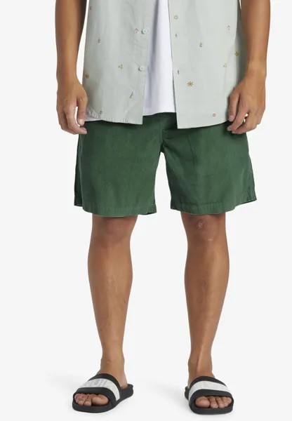Шорты TAXER Quiksilver, цвет green