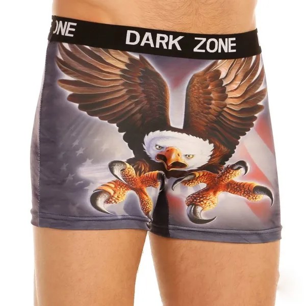 Трусы мужские DARKZONE DZN1013 разноцветные L