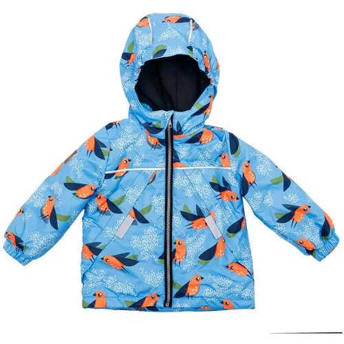 Куртка Forest kids, размер 92, голубой