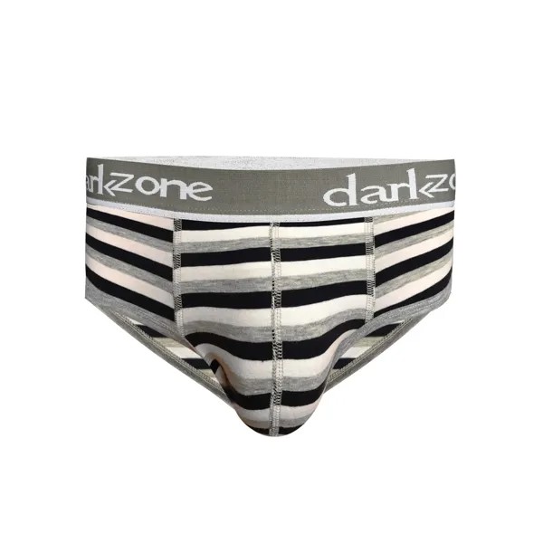 Трусы мужские DARKZONE DZN6127 серые XL