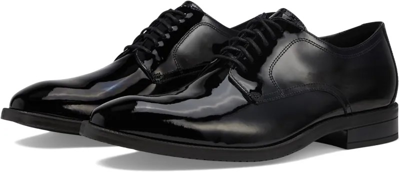 Оксфорды Modern Essentials Plain Toe Ox Cole Haan, цвет Black Patent