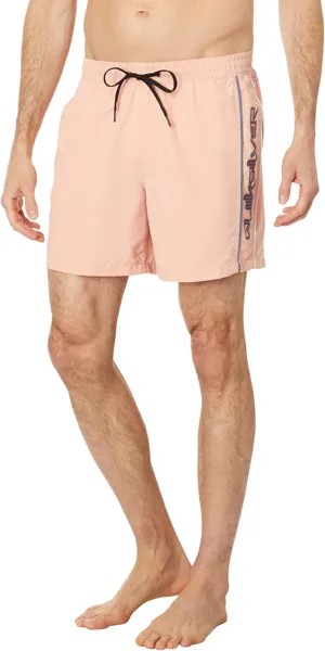 Шорты для плавания Quiksilver Everyday Vert 16