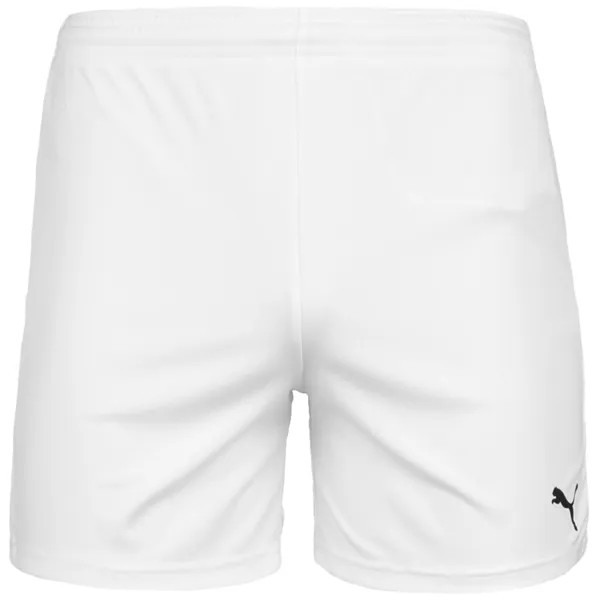 Тренировочные брюки Puma TEAM GOAL 23 KNIT, белый