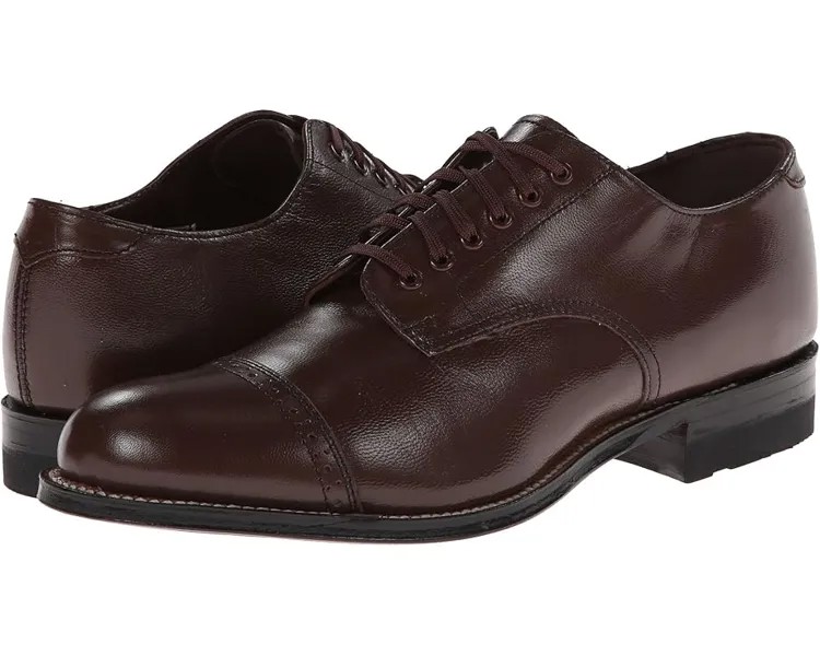 Оксфорды Stacy Adams Madison Cap Toe Oxford, коричневый
