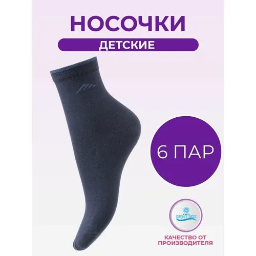 Носки САРТЭКС Базовая коллекция, 6 пар, размер 18/20, , синий