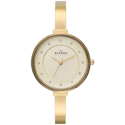 Наручные часы SKAGEN SKW2229