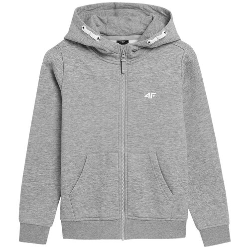 Толстовка 4F GIRL'S SWEATSHIRTS Дети HJZ21-JBLD002A-27M 152