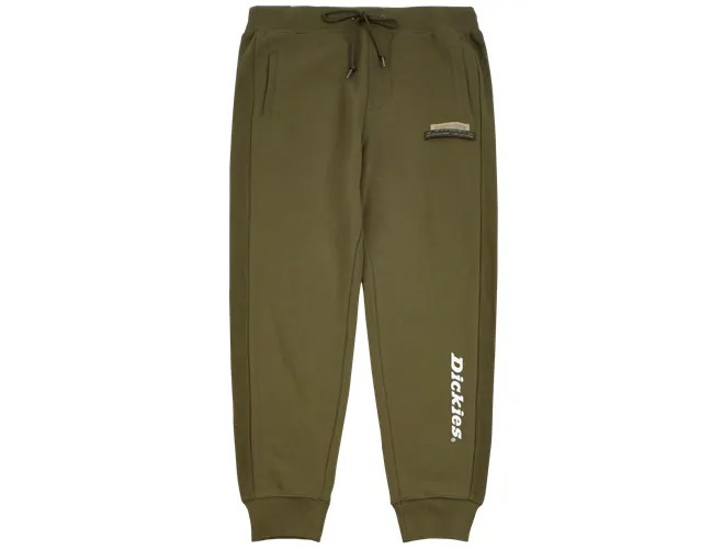 Трикотажные спортивные штаны мужские зеленые Dickies, зеленый