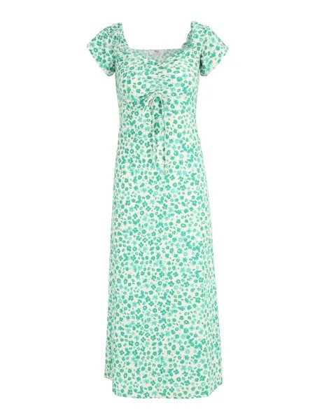 Платье Dorothy Perkins, цвет Cream/Green/Light Green