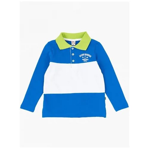 Поло для мальчиков Mini Maxi, модель 3556, цвет белый/синий