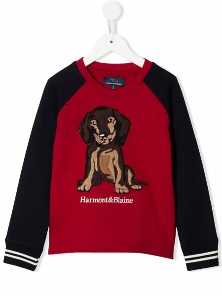 Harmont & Blaine Junior джемпер с нашивкой