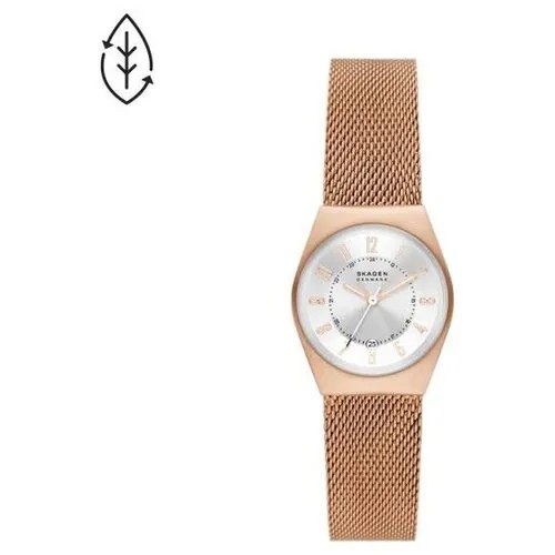 Наручные часы Skagen SKW3035