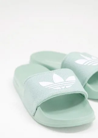 Шлепанцы бледно-зеленого цвета adidas Originals Adelette Lite-Зеленый цвет